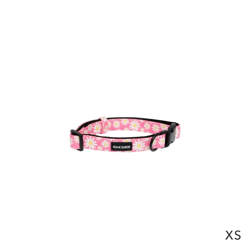 Frank Barker Pink Daisies Collar XS