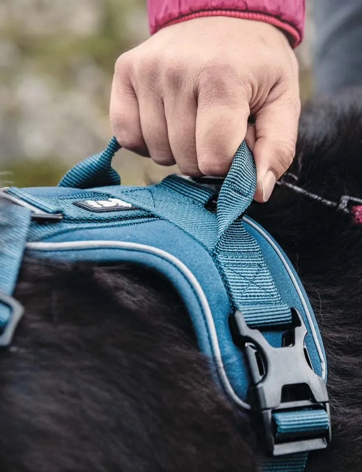 Hurtta Active Dazzle Harness