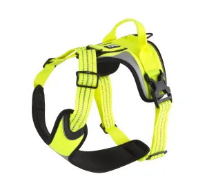 Hurtta Active Dazzle Harness