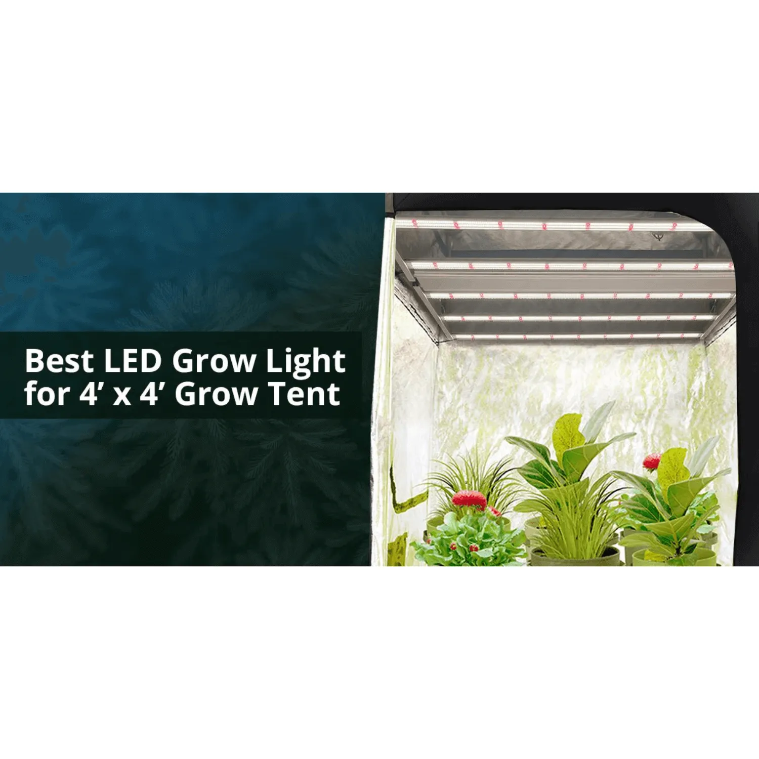 Medic Grow Fold-6 660W Full Spectrum LED Grow Light