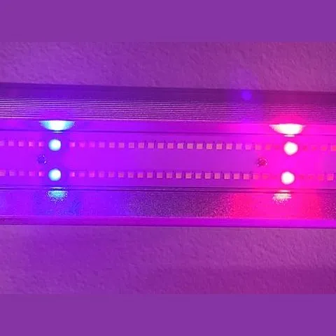 Optic LED Slim 650S Dimmable LED Grow Light 650W (120 Degree) 3500K