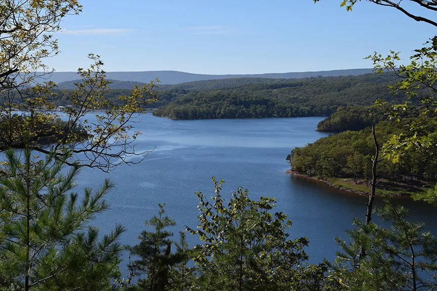 Raystown Lizard Map, Pennsylvania
